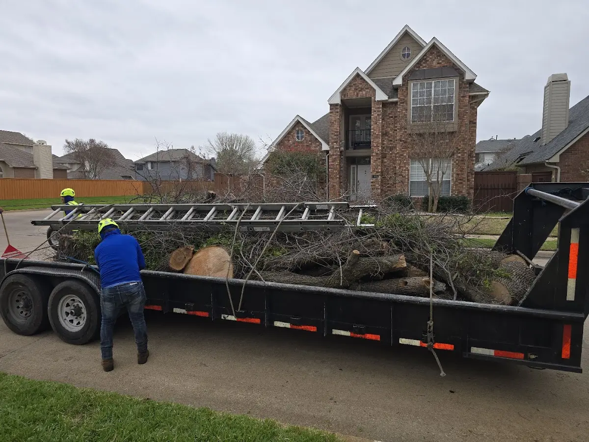 Expert Tree Fertilization with proper safety equipment in Exeter